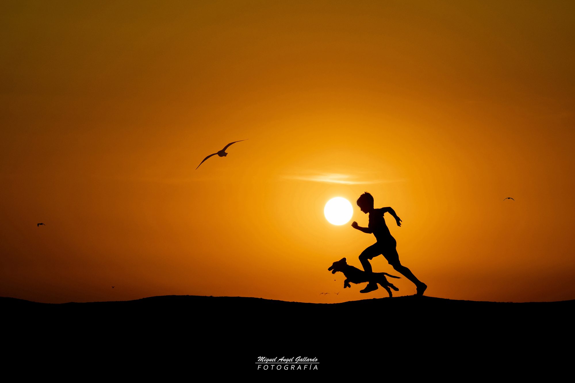 Miguel y Trucco corriendo en las Salinas de Isla Cristina — «A la Carrera», Photomagas